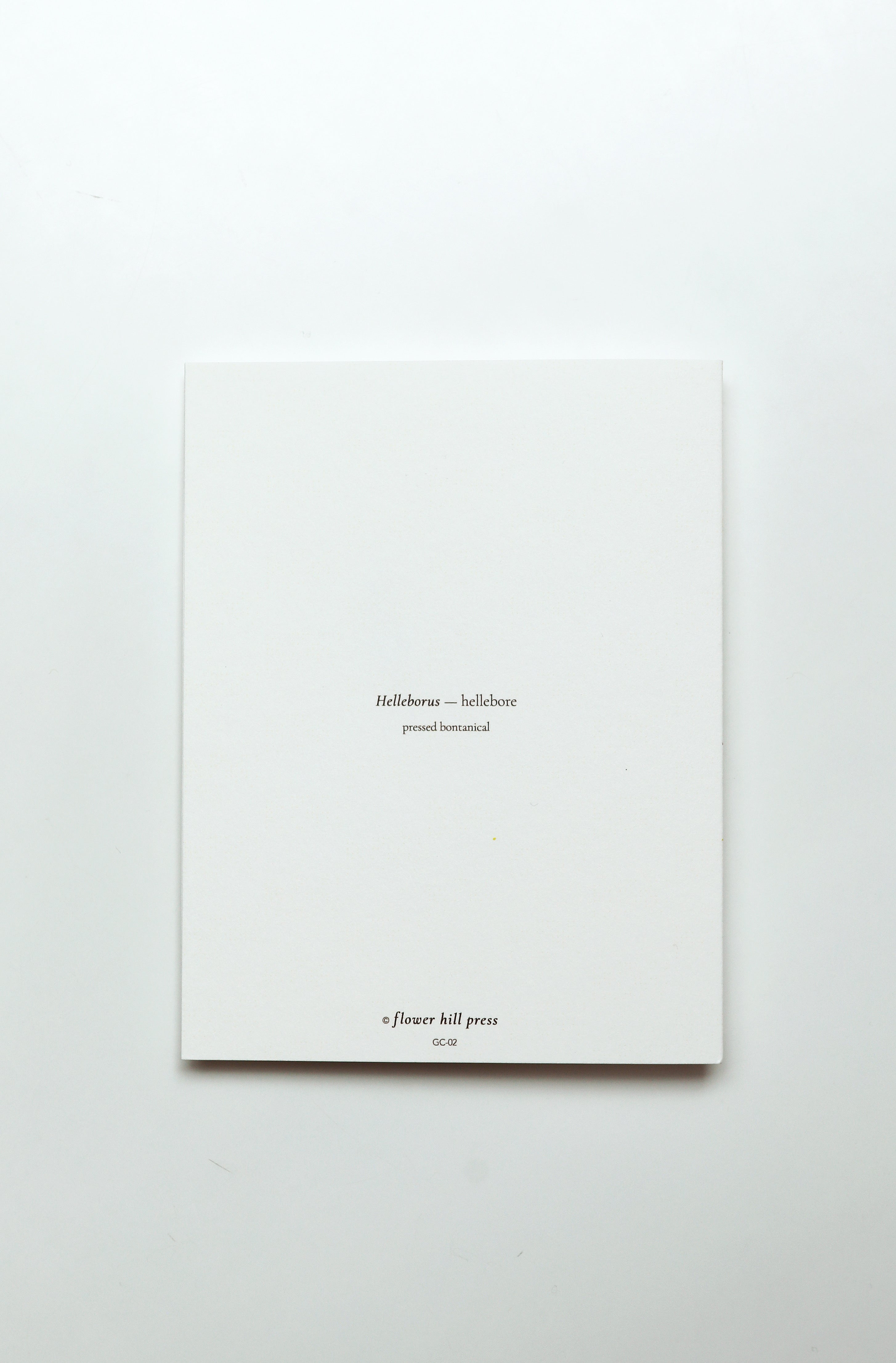 Hellebore