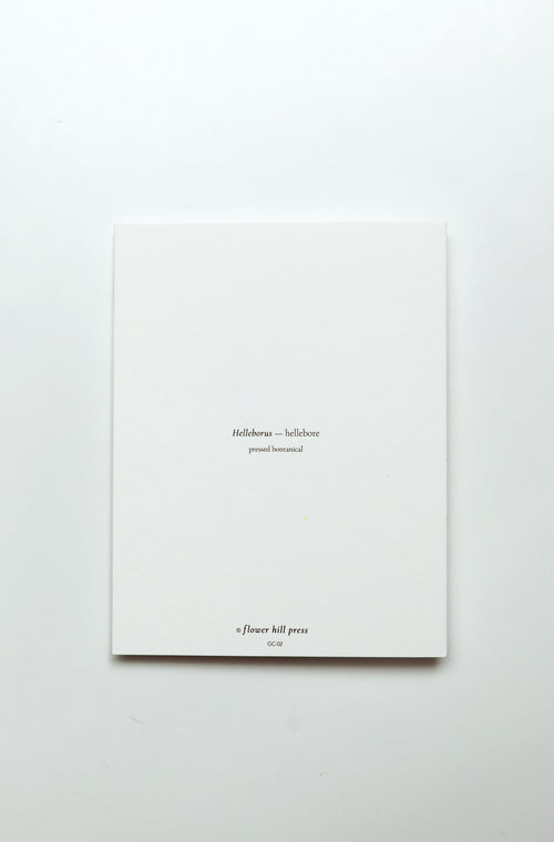 Hellebore
