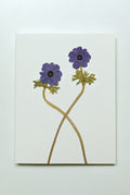 Anemone