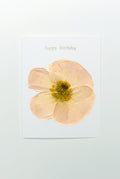 Poppy — Happy Birthday