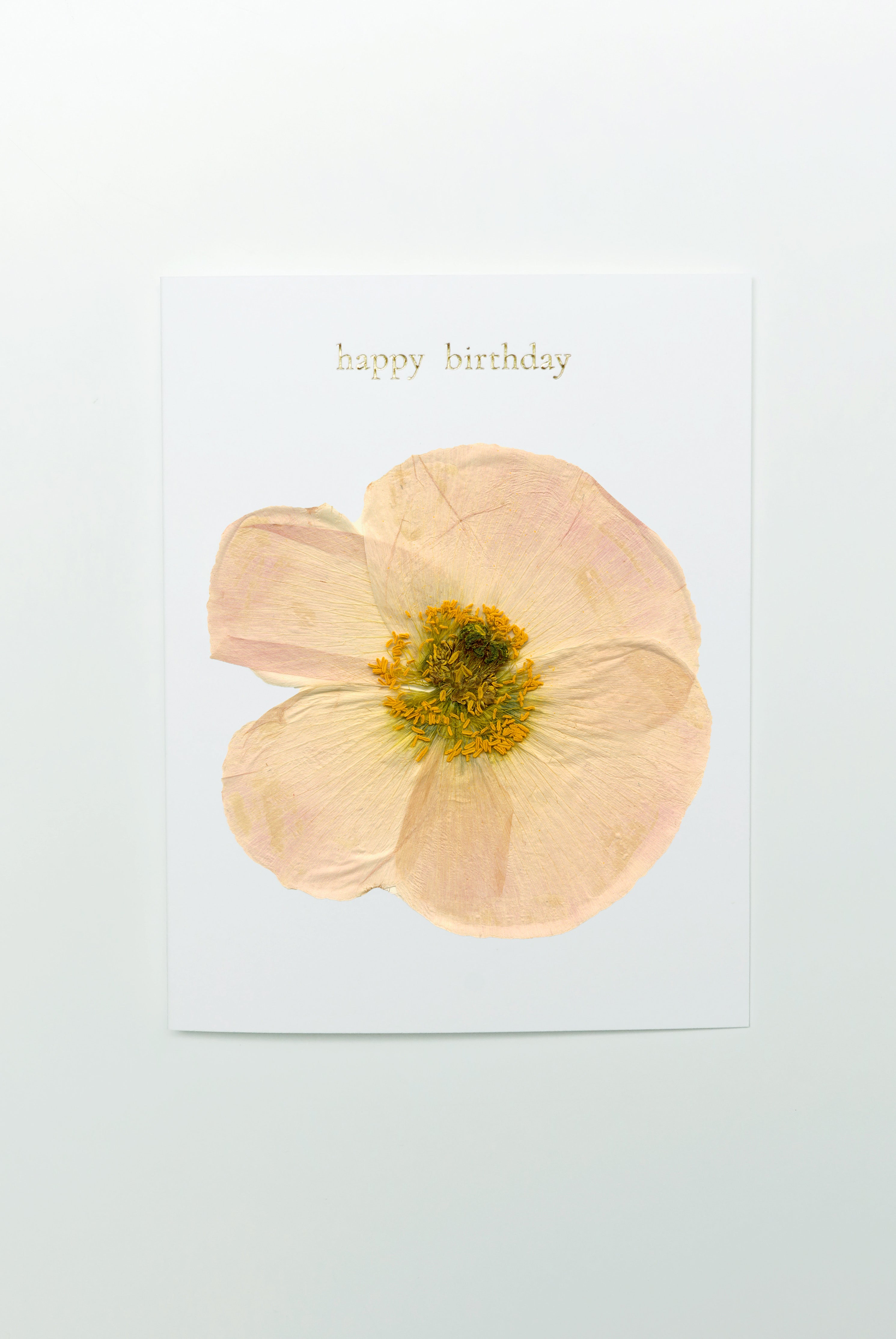 Poppy — Happy Birthday