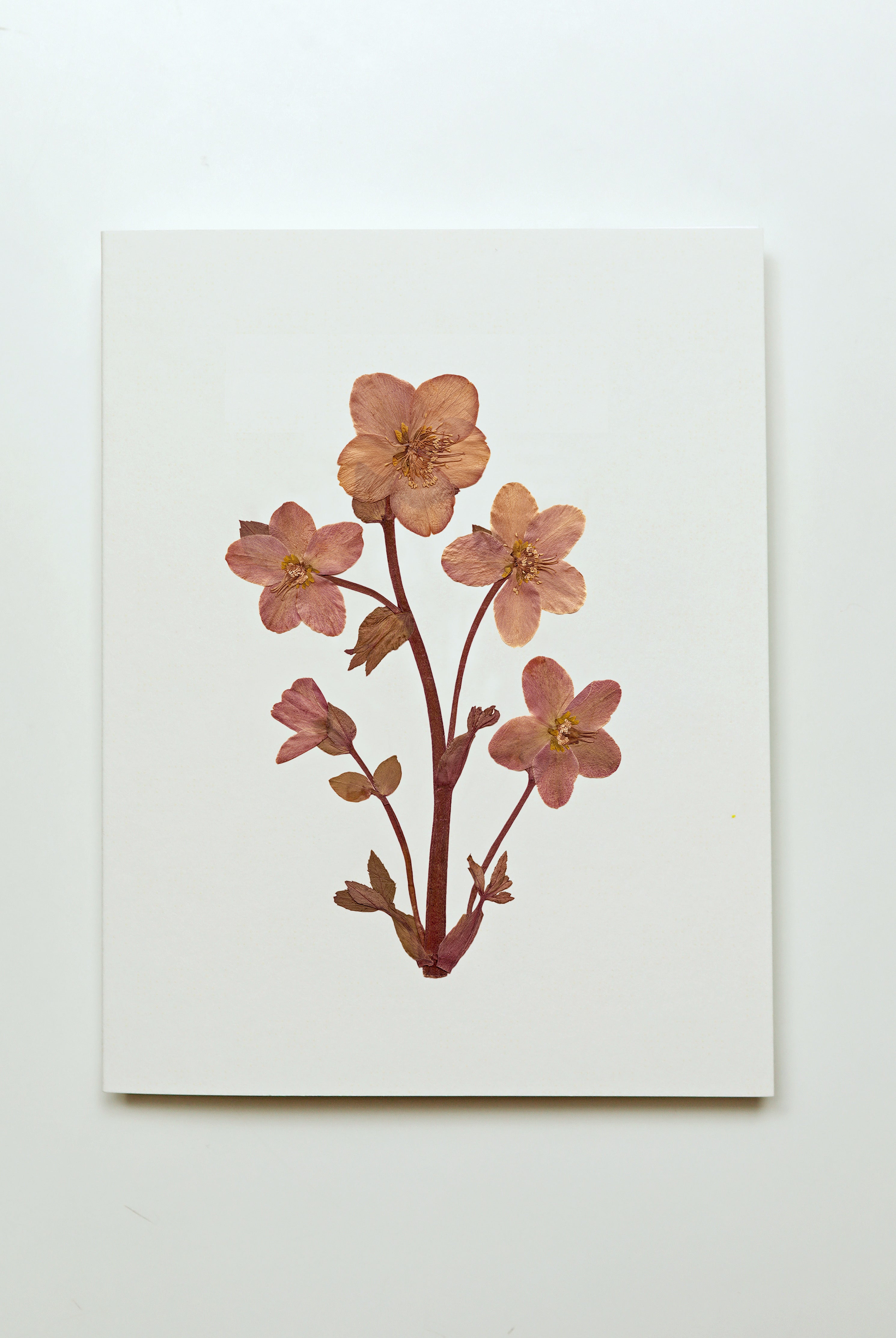 Products – Flower Hill Press