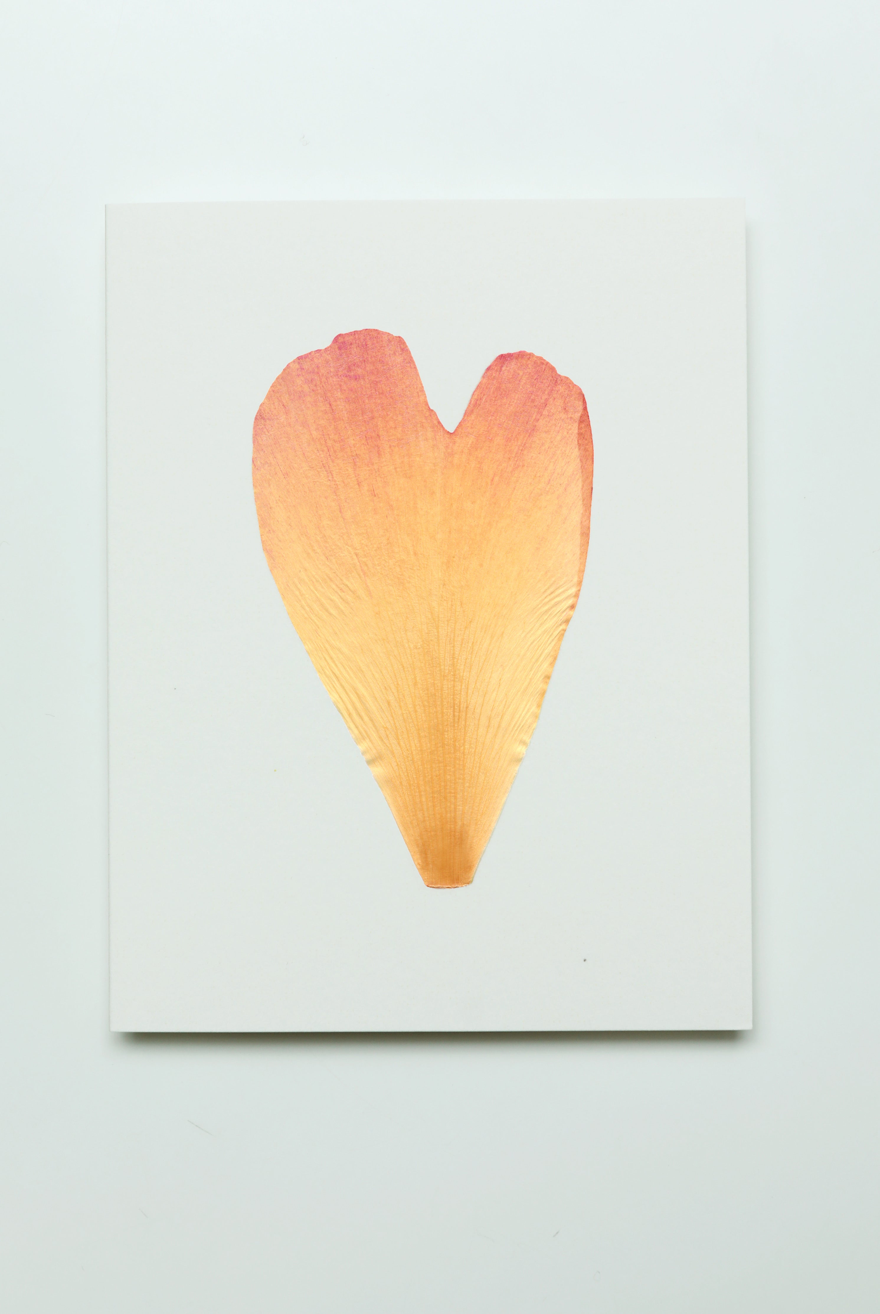 Peony Petal